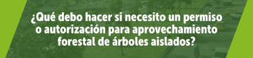 texto que hacer si se necesita permiso para aprovechamiento forestal