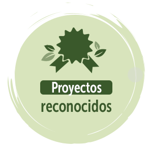 Proyectos reconocidos