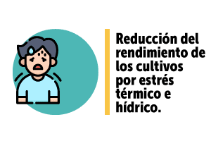 Pieza gráfica sobre, reducción del rendimiento de los cultivos por estrés térmico e hídrico