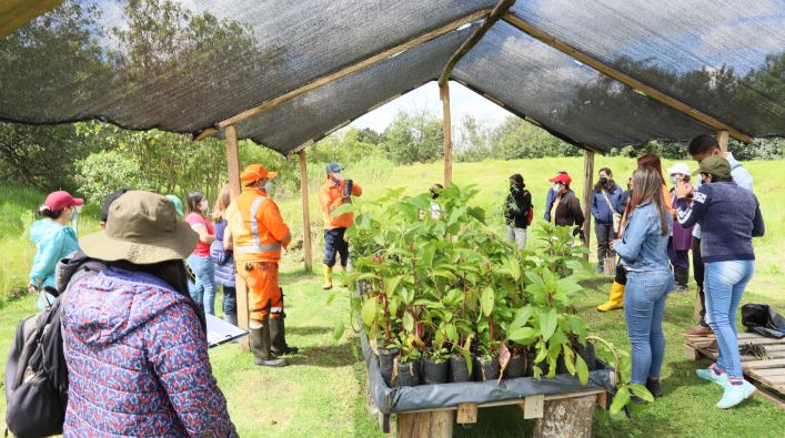 Área rural en siembra con la comunidad