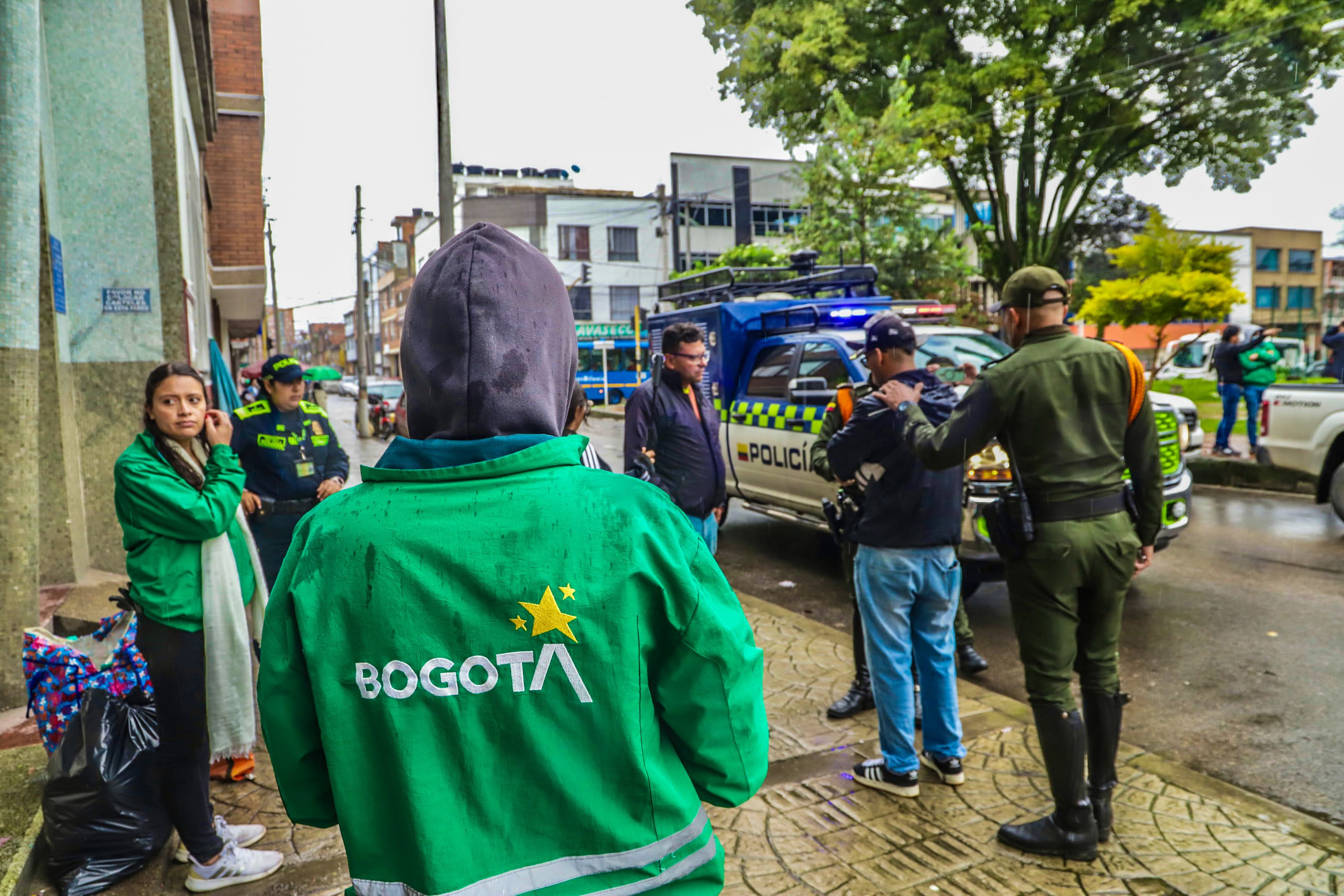 Laurel de cera: Secretaría de Ambiente y Policía Ambiental capturan a una persona por tráfico ilegal de flora silvestre