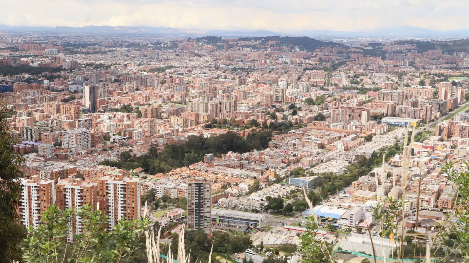 ¿Cómo renaturalizar y reverdecer la ciudad? La estrategia de Ambiente Bogotá para reconciliar el urbanismo y la naturaleza