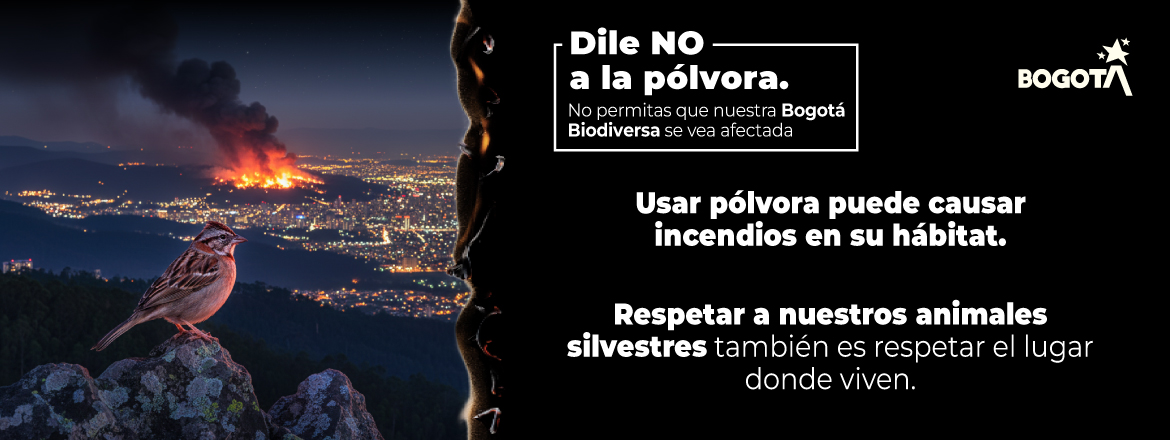 Di no a la pólvora y cuida a la fauna silvestre de Bogotá