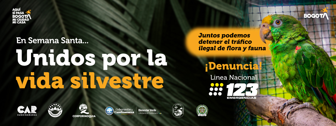 Semana Santa: autoridades ambientales refuerzan llamado a denunciar el tráfico ilegal  de flora y fauna silvestre